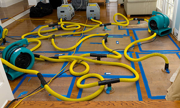 Professional Sewage Cleanup technician working in Celina, TX